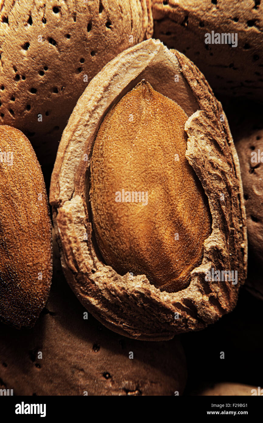Raw fresh almonds with shell Stock Photo Alamy