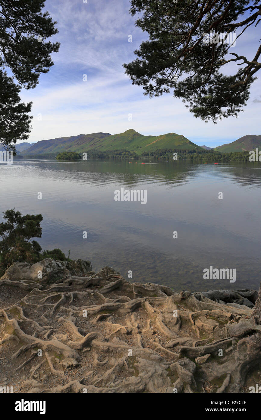 Catbells fells across Derwent Water from Friar's Crag near Keswick, Cumbria, Lake District National Park, England, UK. Stock Photo