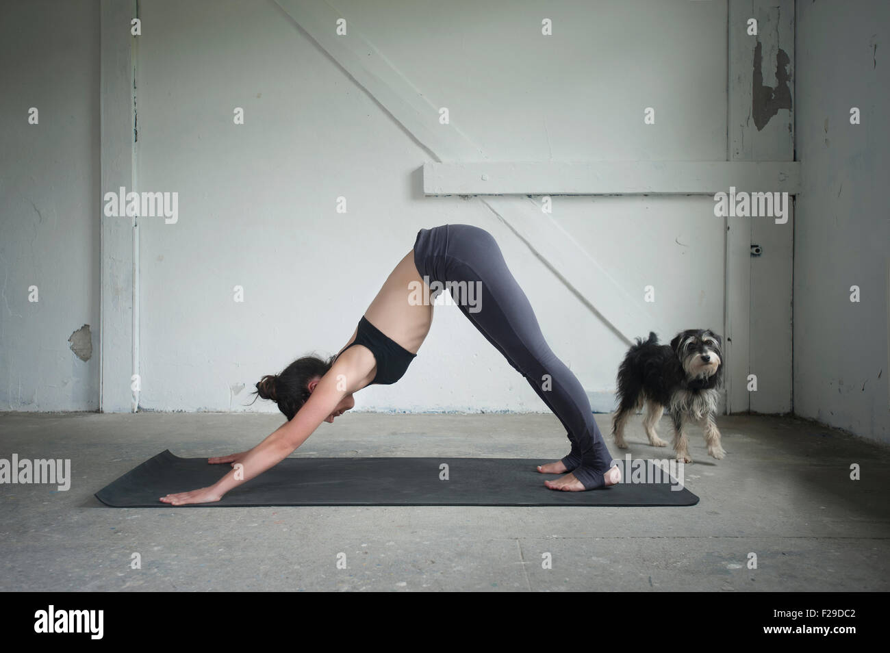 Mid adult woman practicing downward facing dog pose in yoga studio, Munich, Bavaria, Germany Stock Photo