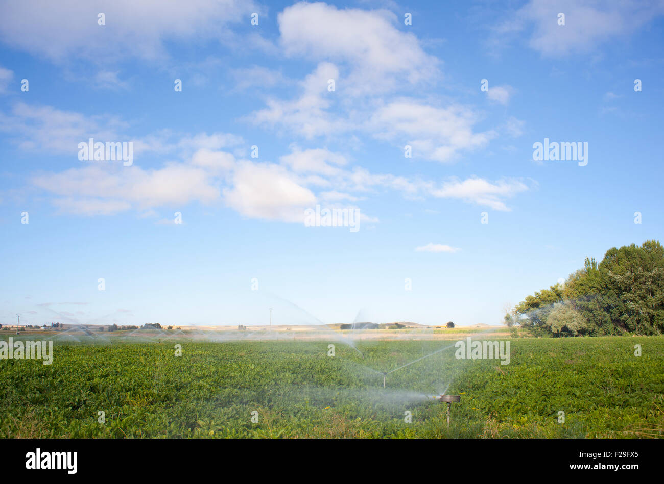 Irrigation in the spanish countryside Stock Photo Alamy