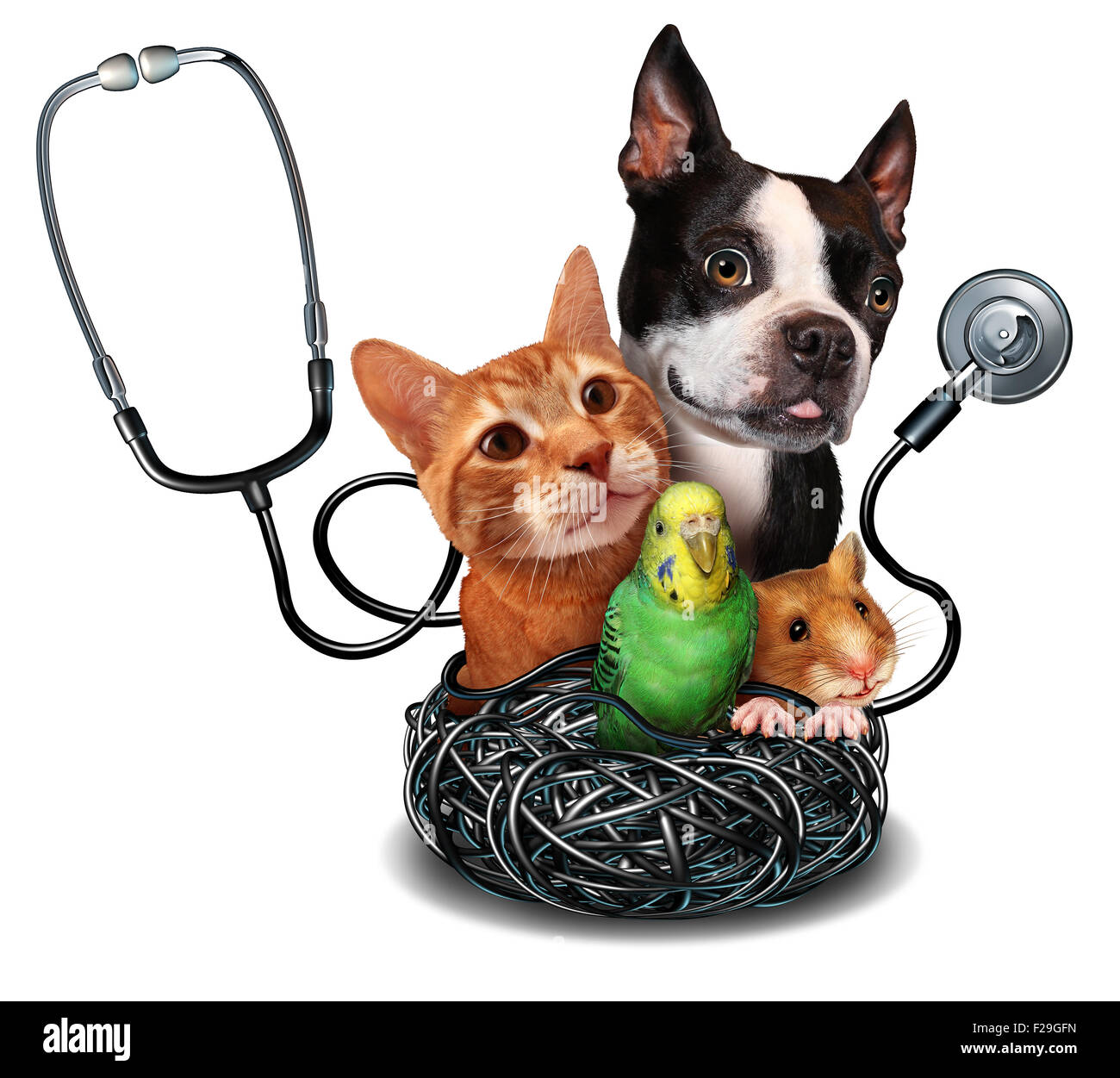 Veterinary care and pet medicine concept as a group of domesticated animals as a cat dog hamster and bird as a symbol for veterinarian medical healthcare and health insurance for pets. Stock Photo