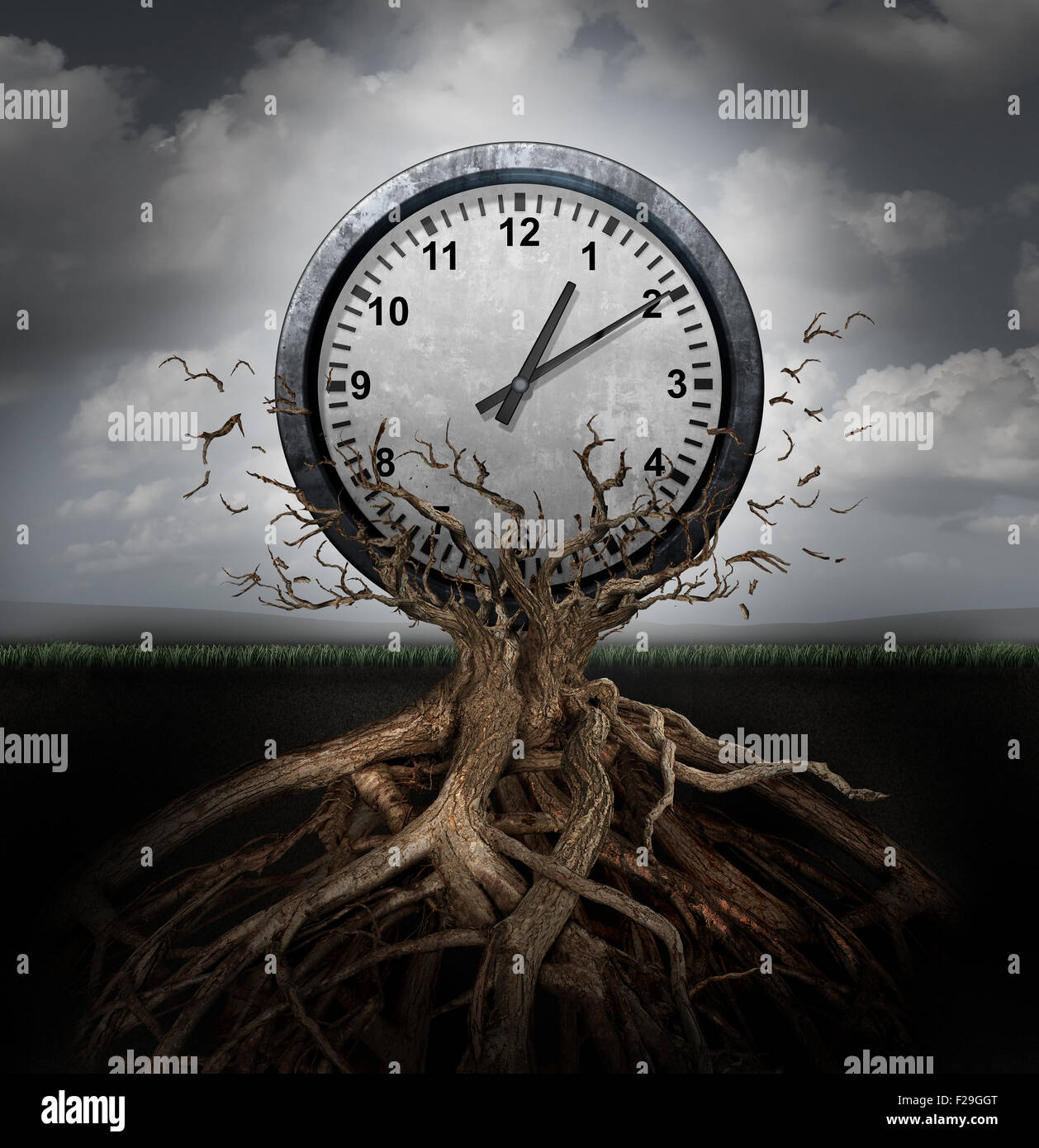 Time planning and efficiency management business concept as a clock breaking free from a tree trunk as a surreal symbol for productivity schedule and strategy. Stock Photo