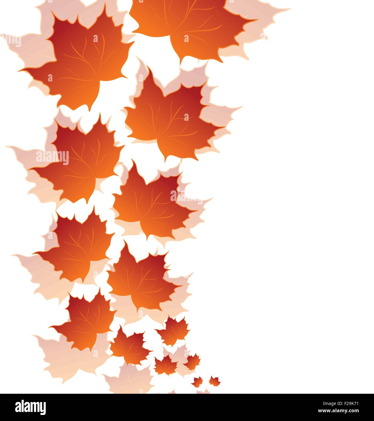 Autumn maple leaves isolated on white background Stock Vector Image ...