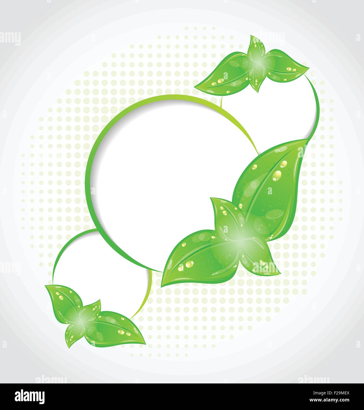 Abstract frames with eco green leaves Stock Vector Image & Art - Alamy