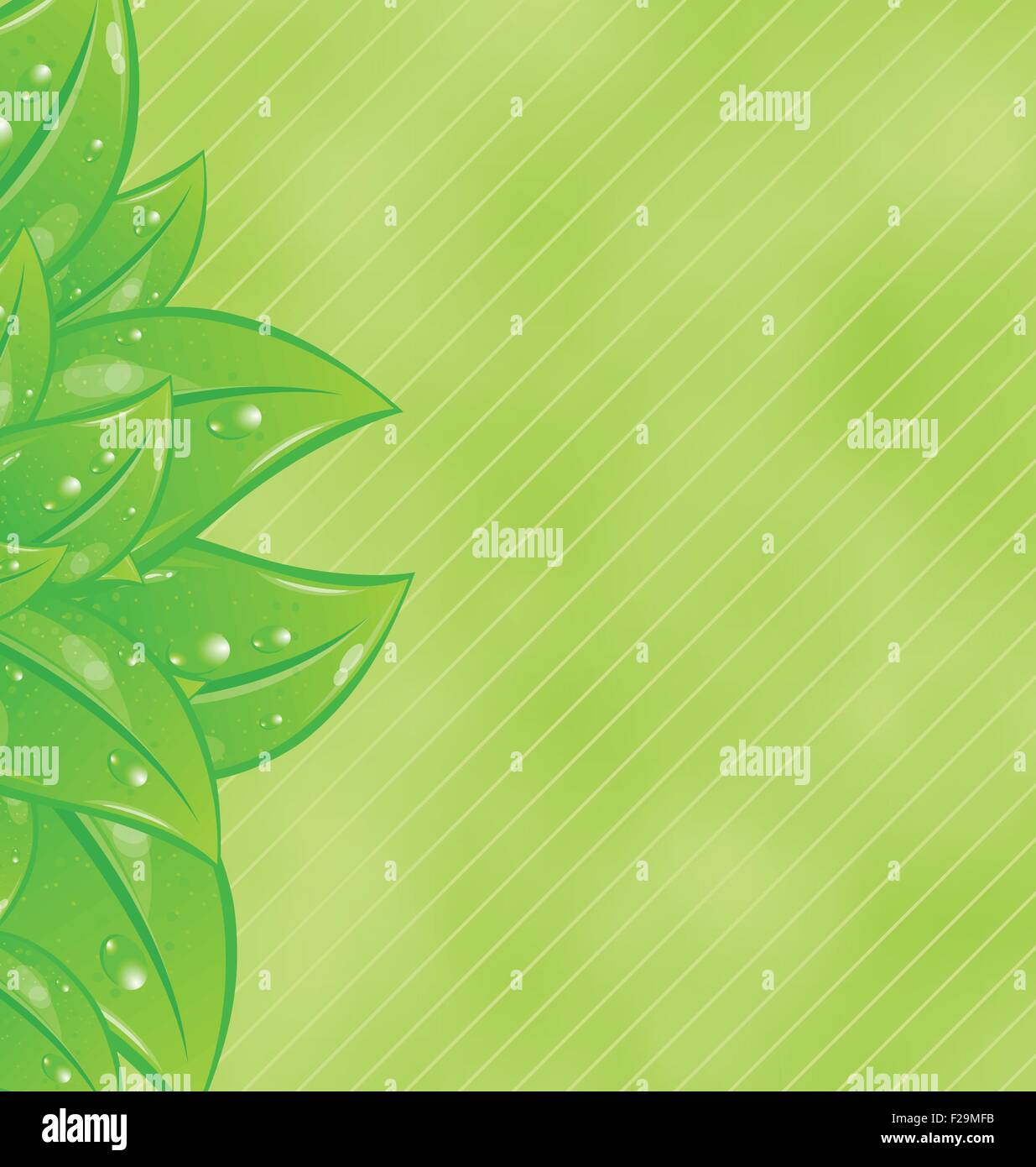 Ecology background with eco green leaves Stock Vector Image & Art - Alamy