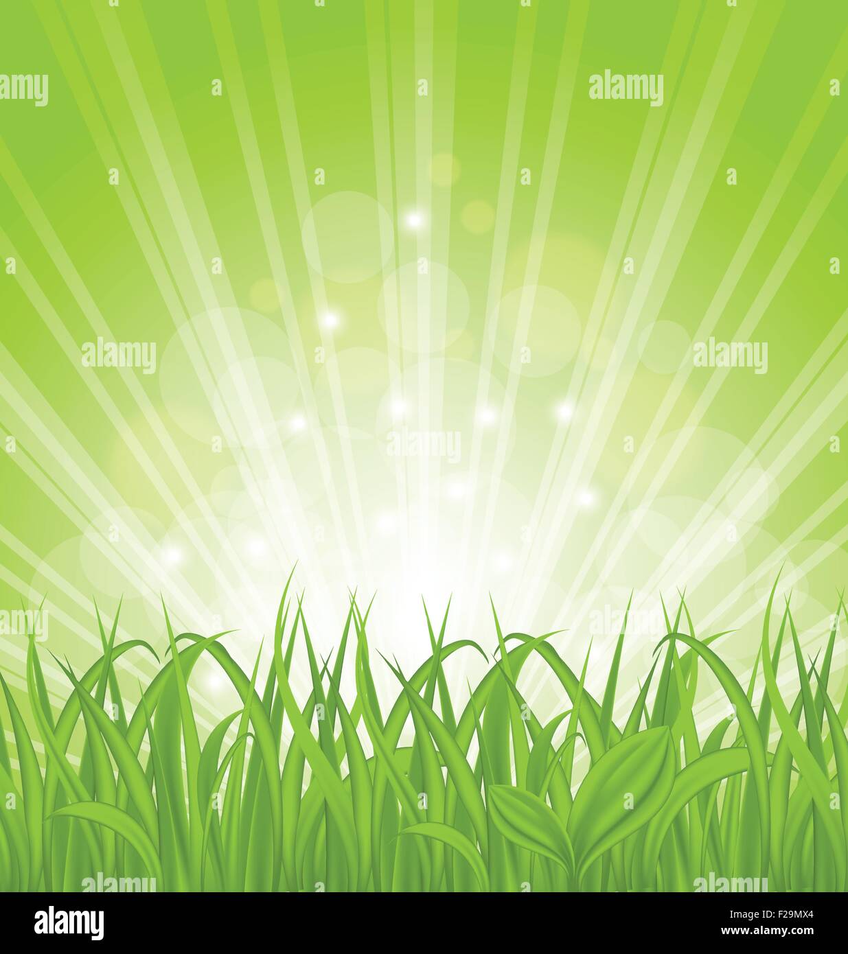 Spring background with green grass Stock Vector Image & Art - Alamy