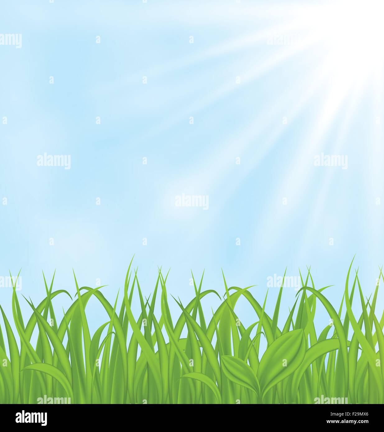 Spring background with green grass Stock Vector Image & Art - Alamy