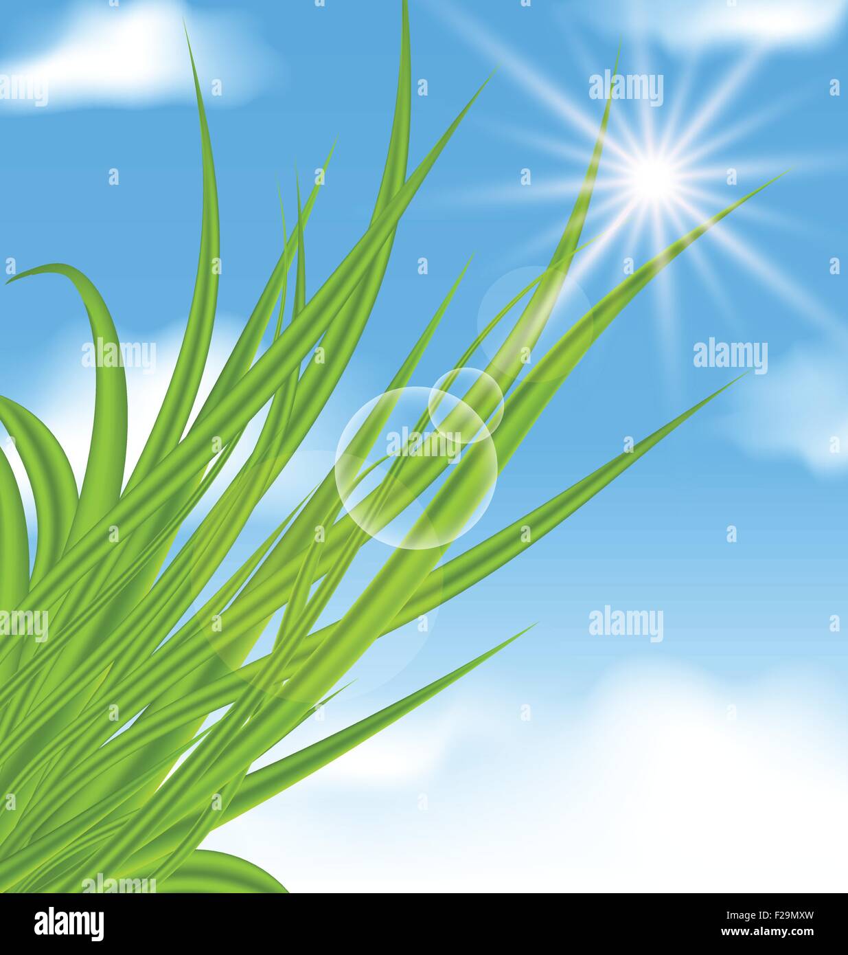 Natural illuminated background with green grass Stock Vector Image ...