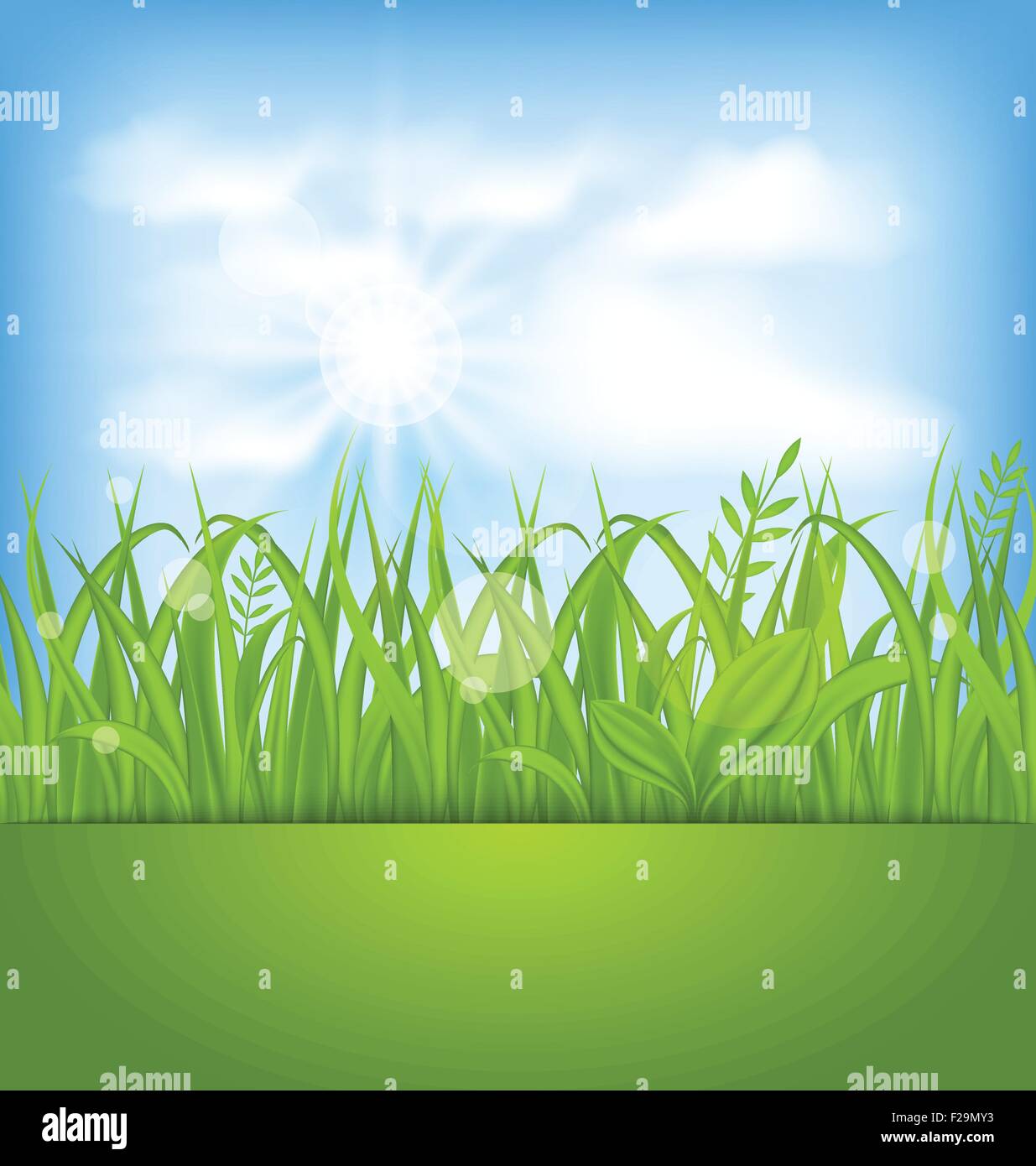 Natural spring background Stock Vector Images - Alamy