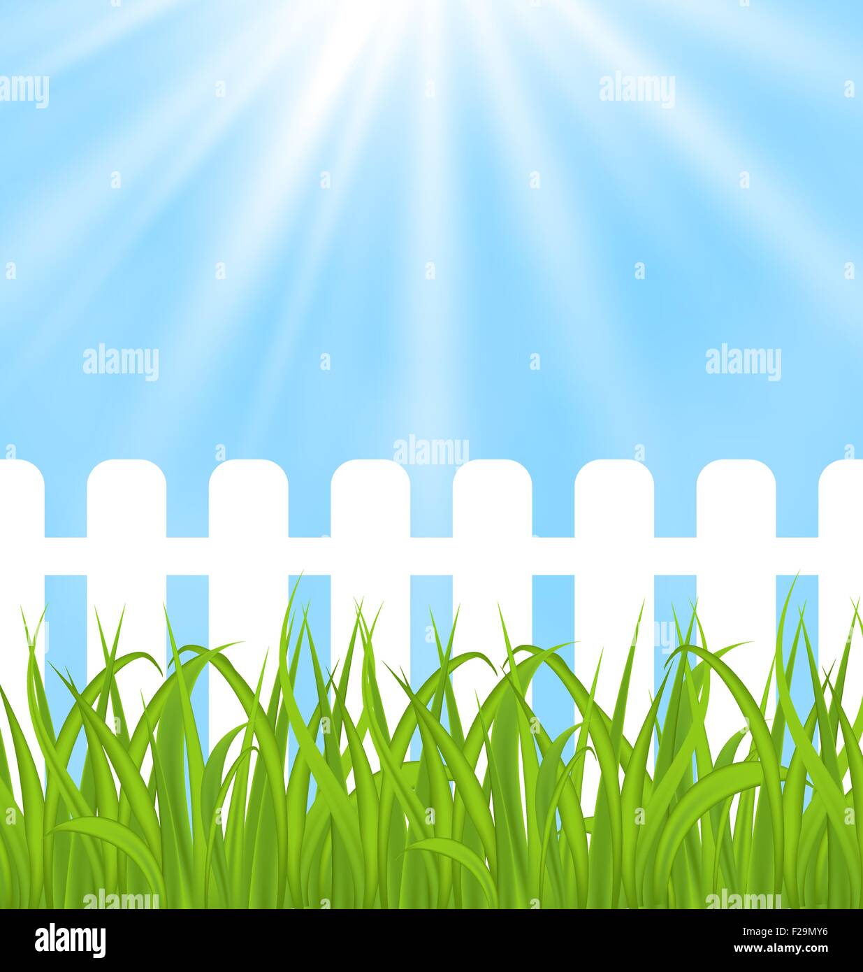 Fresh green grass over wood fence background Stock Vector Image & Art ...