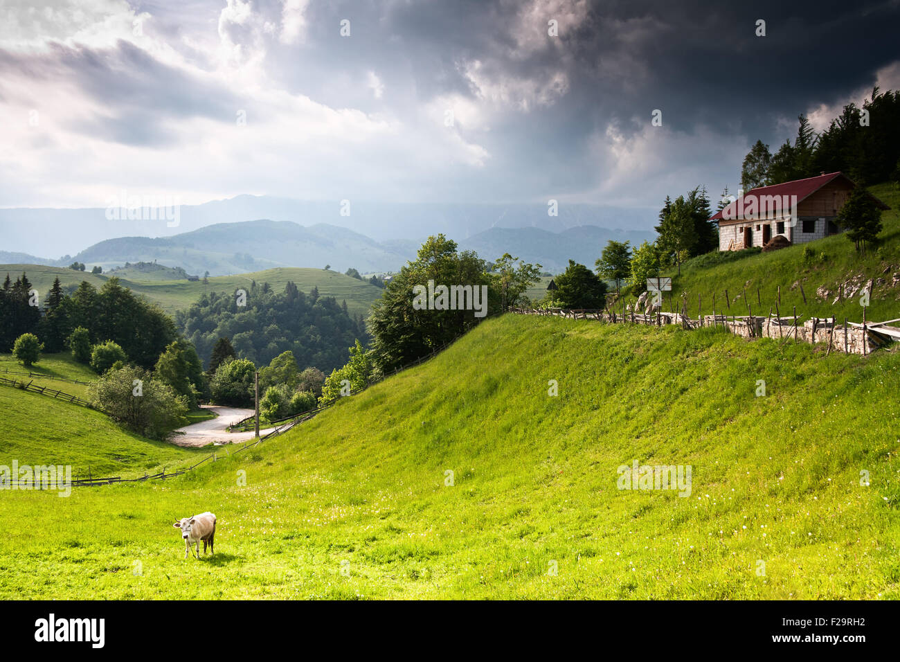 Beautiful Rural Countryside Beautiful landscape from rural hi-res stock photography and images - Alamy