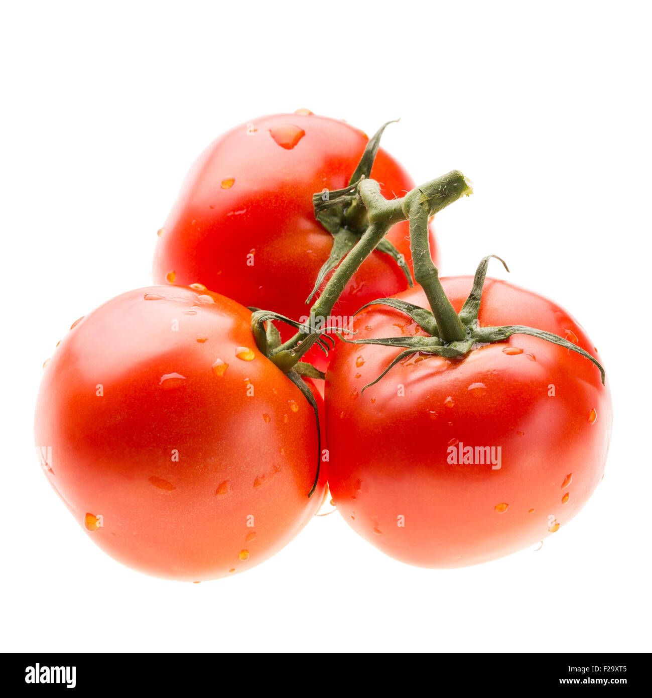 Three red ripe tomatoes on the branch isolated on white background ...