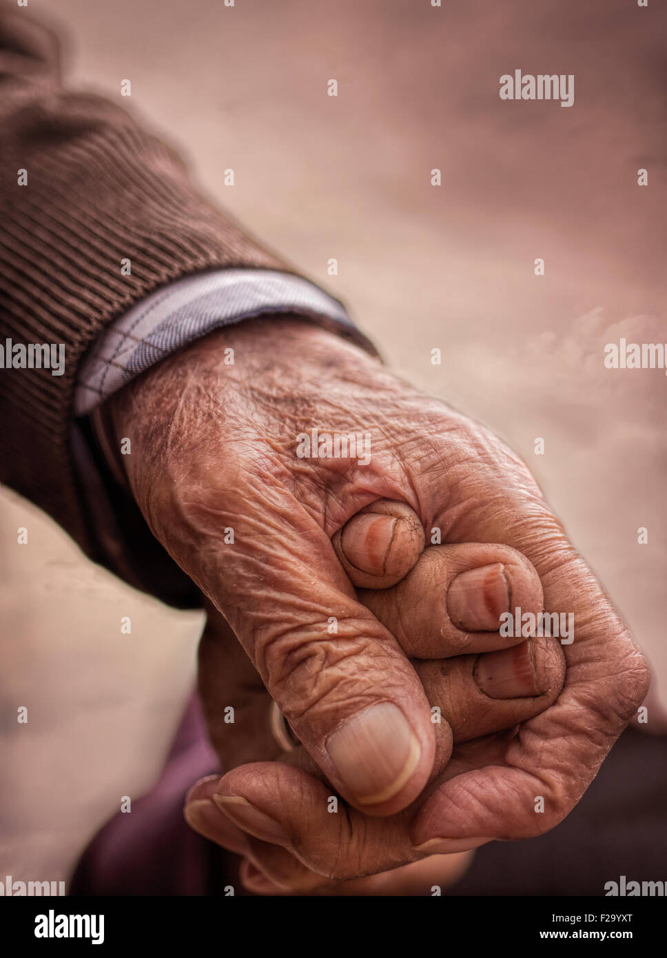 Senior couple hands  in love Stock Photo