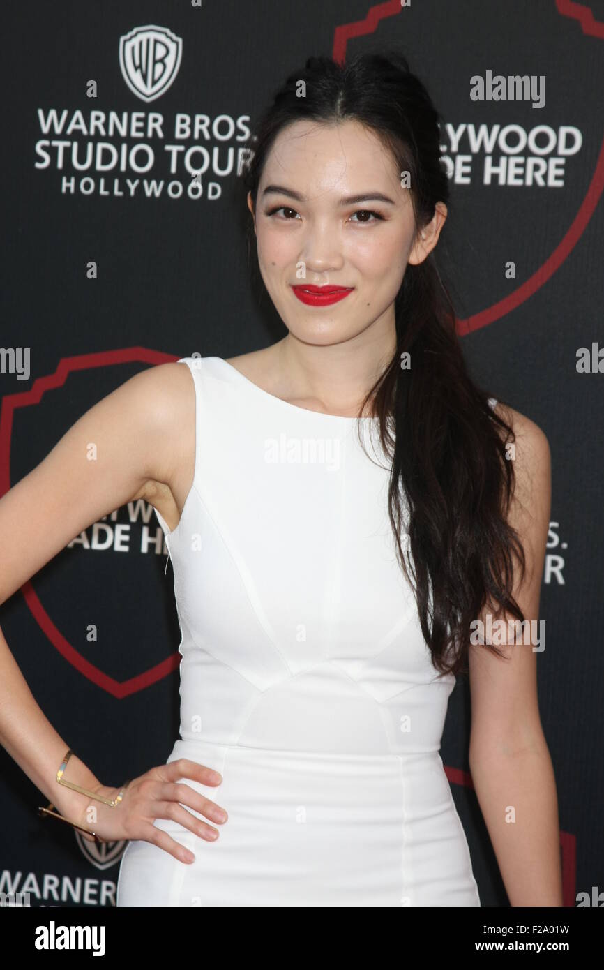 Warner Brothers Studio Tour Hollywood Expansion Official Unveiling