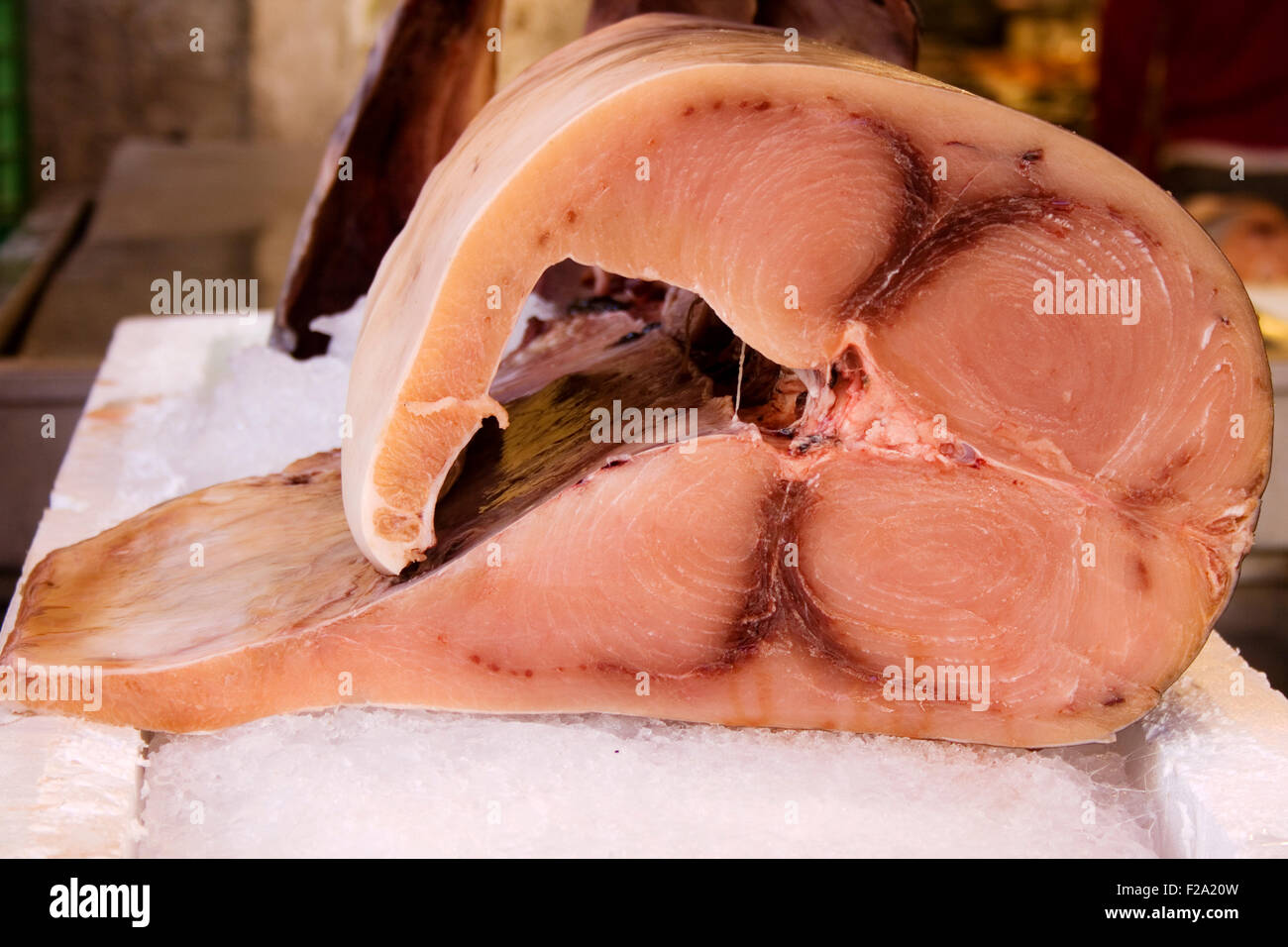 Swordfish at the fish market Stock Photo