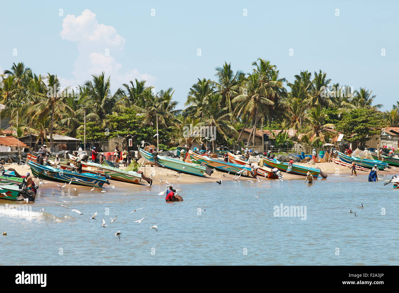 Fishing port, Negombo, Western Province, Indian Ocean, Ceylon, Sri Lanka Stock Photo