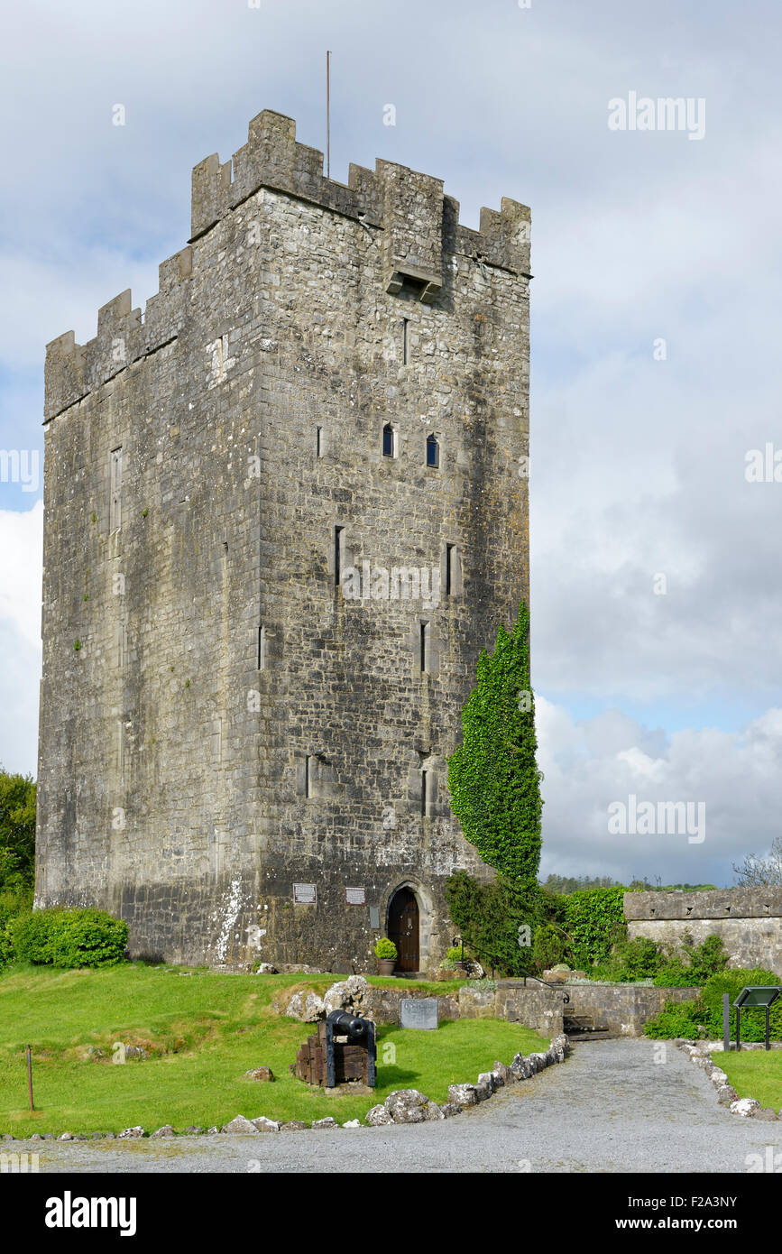 O'Dea Castle, Knockarradaun West, Corofin, Munster, Ireland Stock Photo