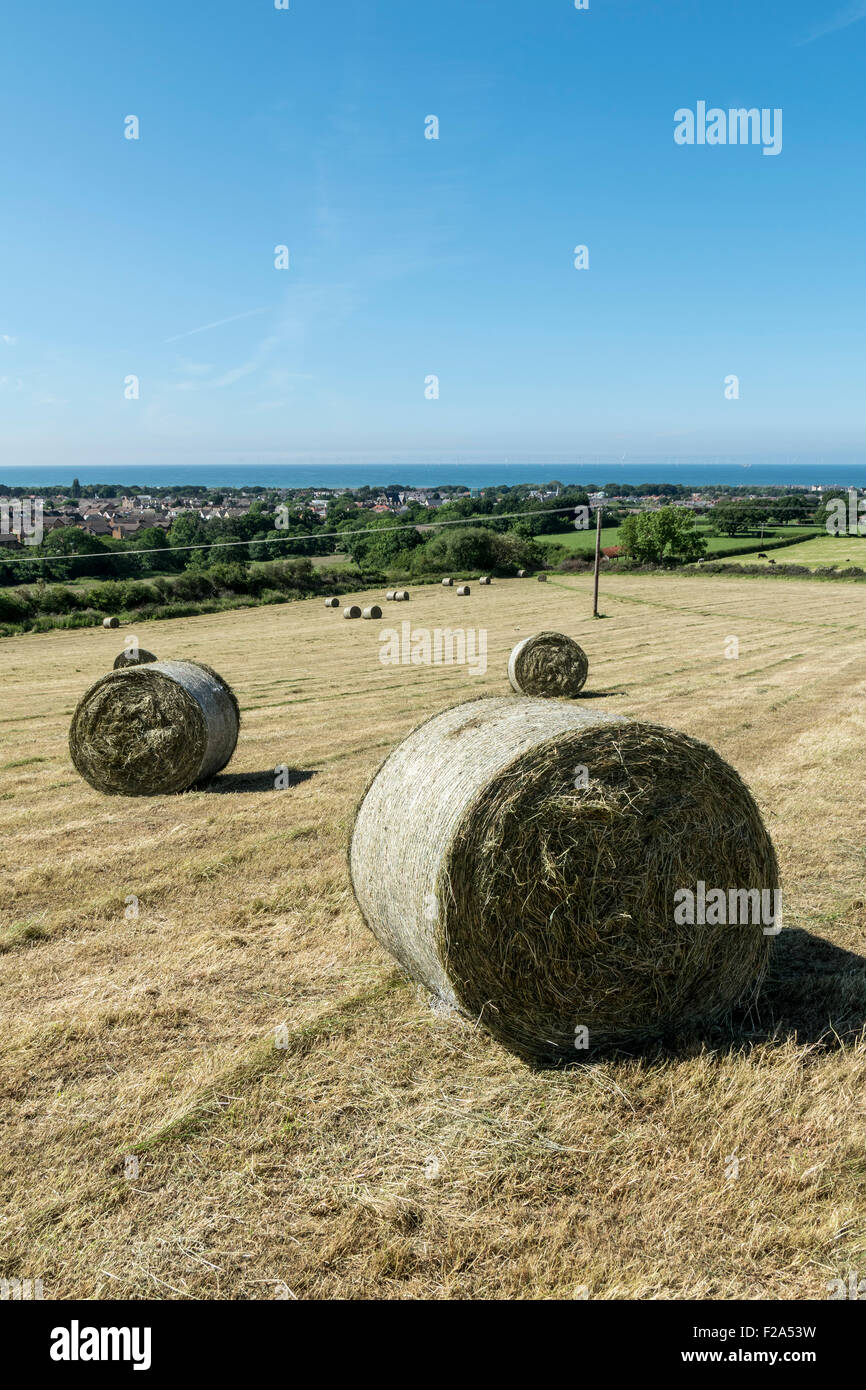 Hay bales drying in the sun at Abergele North Wales Stock Photo - Alamy
