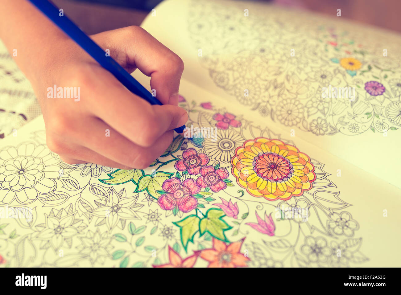 Paint Coloring Book Stock Photo Alamy