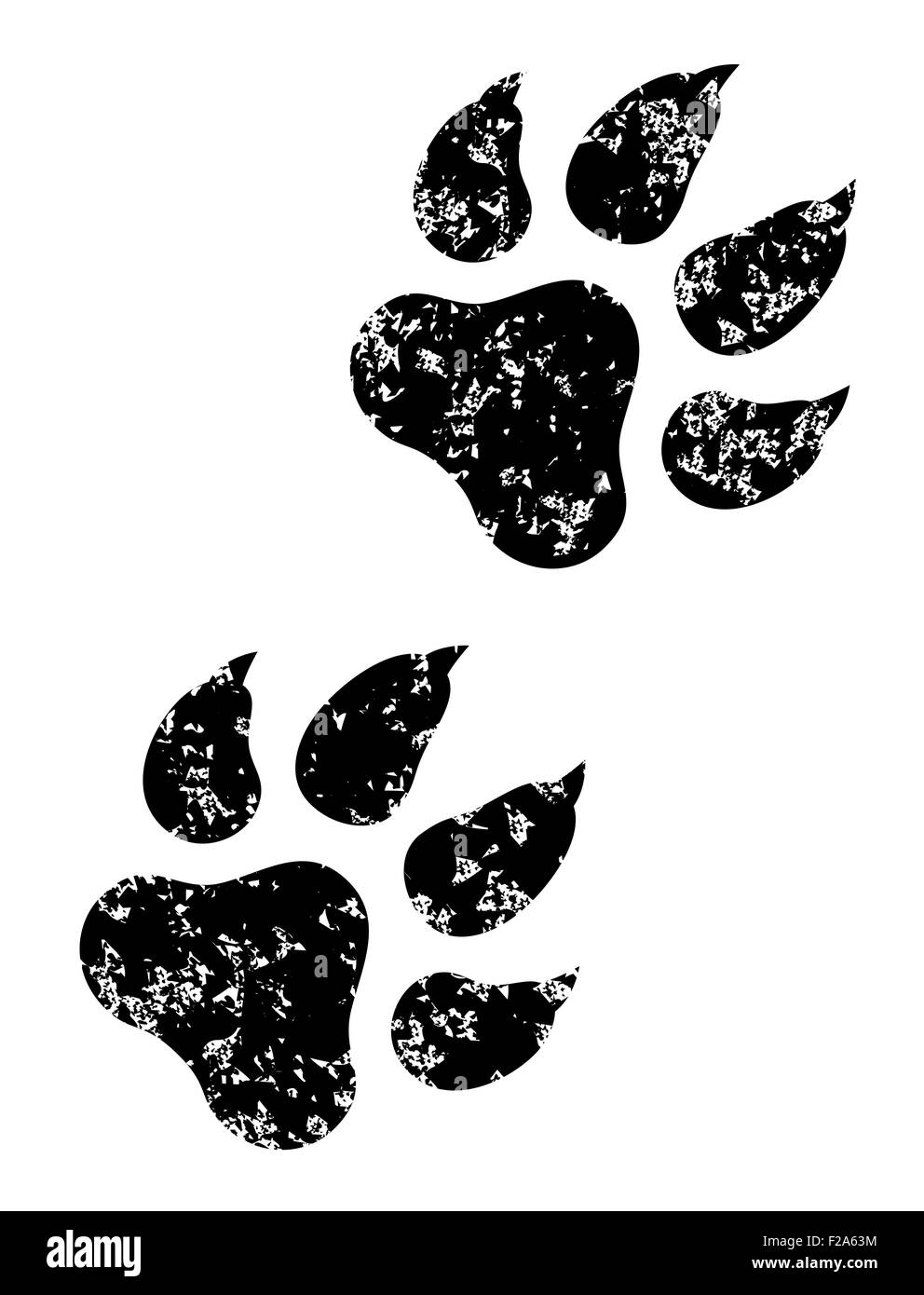 Grunge paw print vector hi-res stock photography and images - Alamy