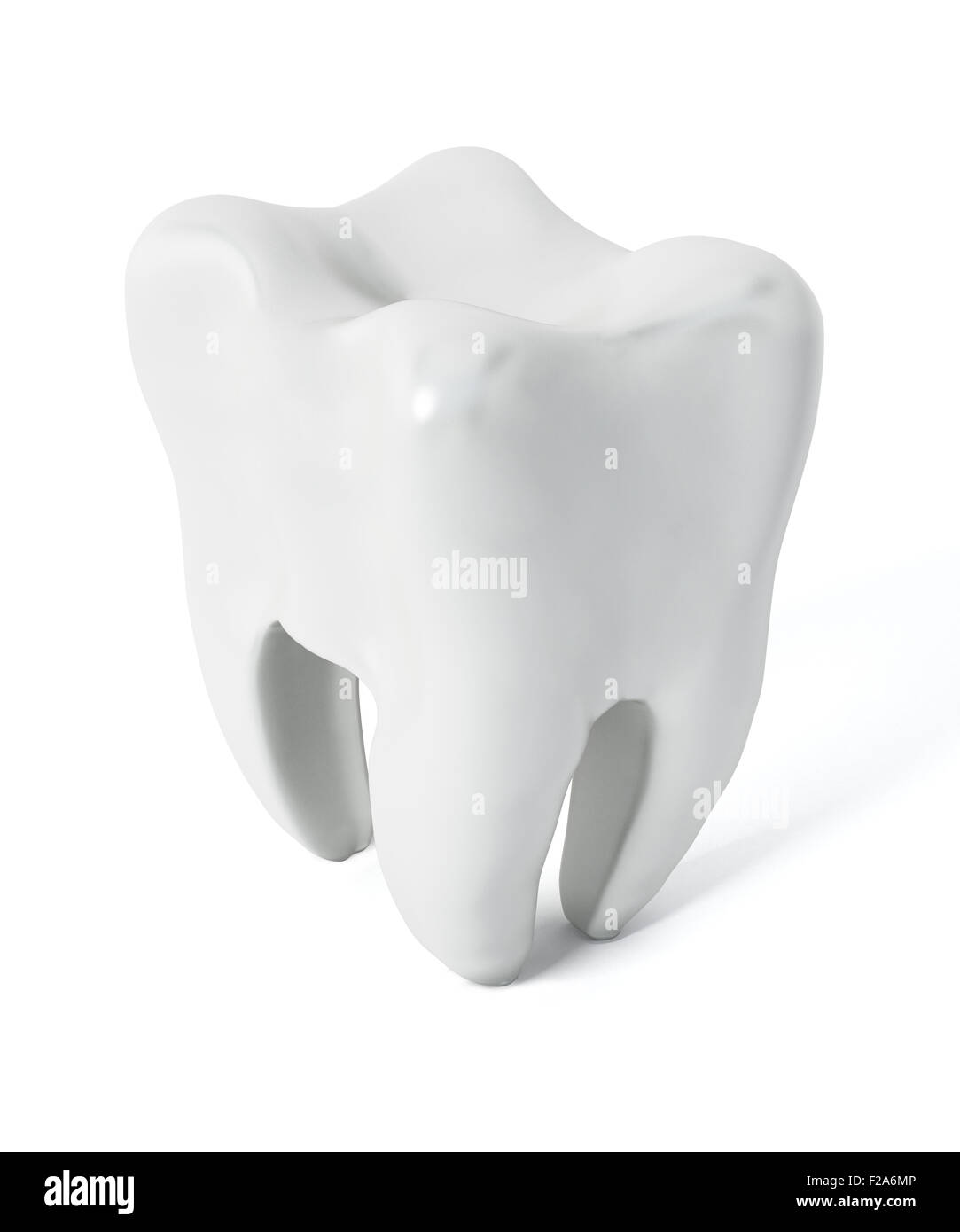 Tooth isolated on white background Stock Photo - Alamy