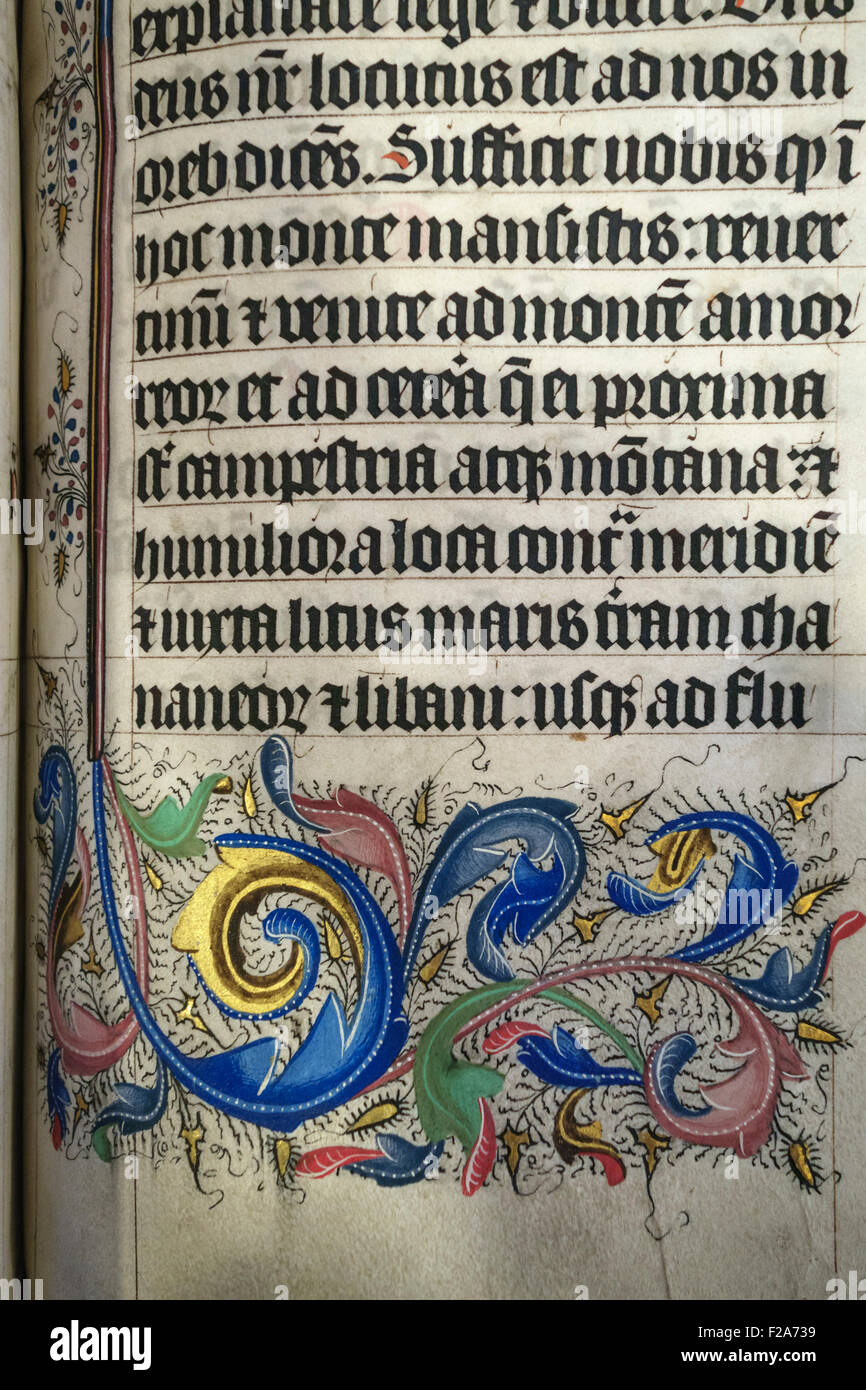 Malmesbury Abbey, Wiltshire, UK. Decorative detail from a four volume illuminated Latin Bible made in 1407. Stock Photo