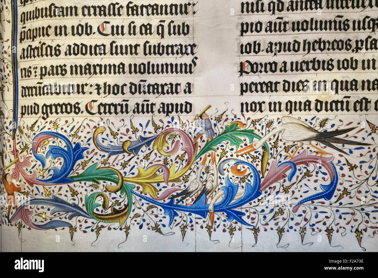 Malmesbury Abbey, Wiltshire, UK. Detail from a four volume illuminated Latin Bible made in 1407, showing a man hunting wildfowl Stock Photo