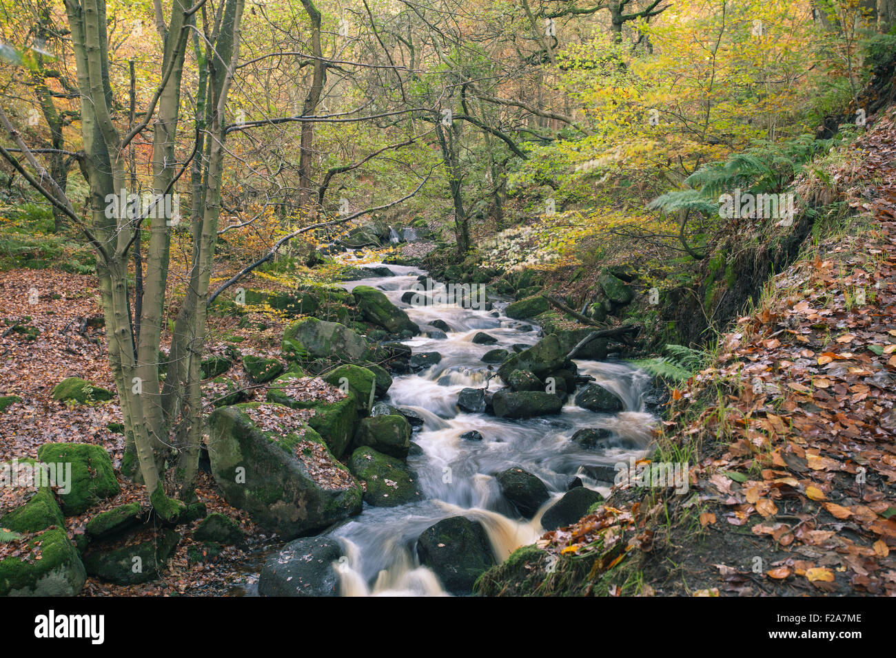 Autumn in Padley Gorge in the Derbyshire Peak District Stock Photo