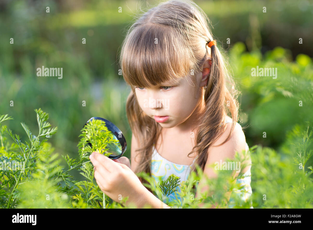 Child girl looking at halm leaves through magnifier outdoors Stock Photo