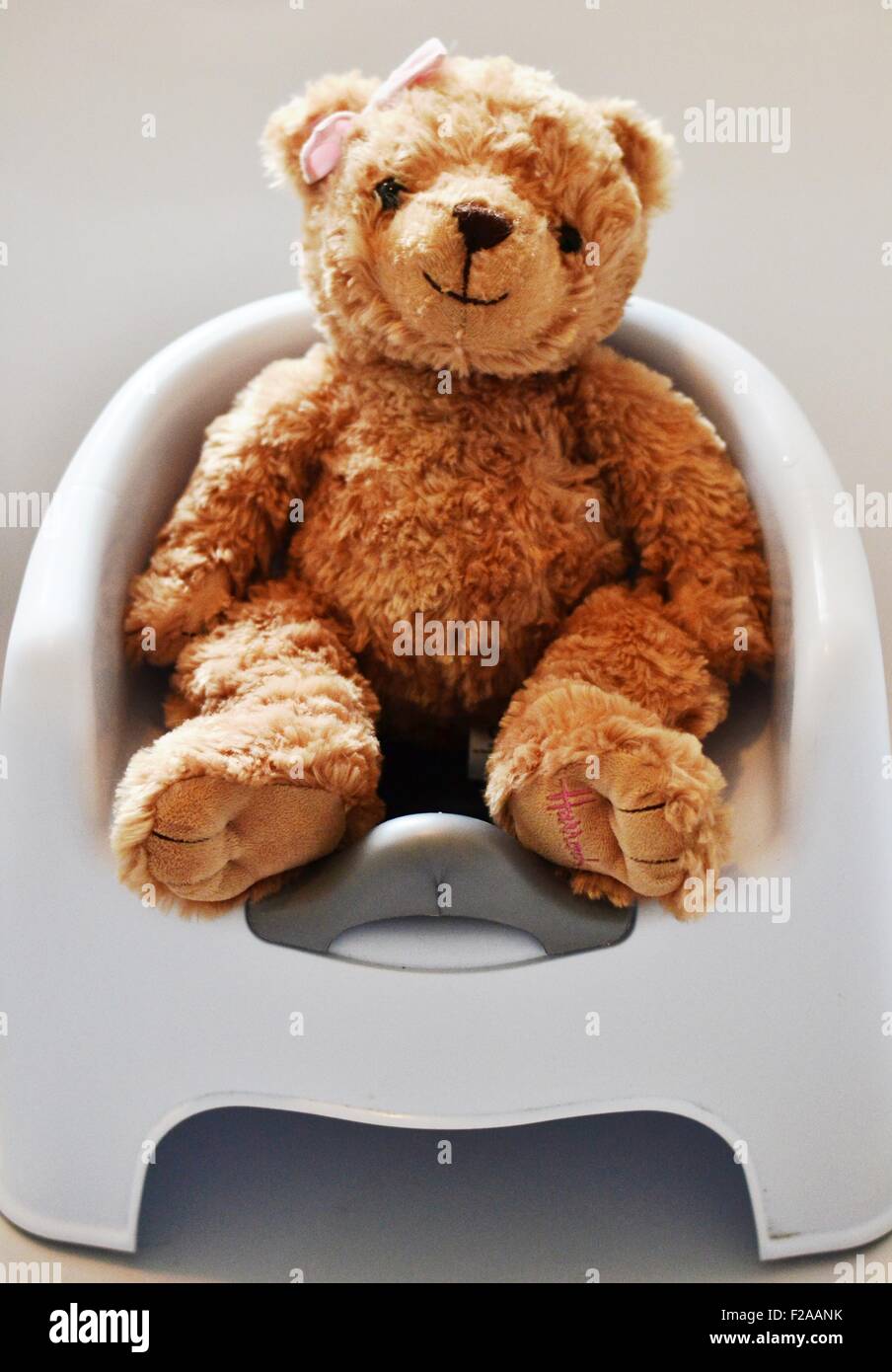 A teddy sits on a potty to demonstrate toilet training Stock Photo