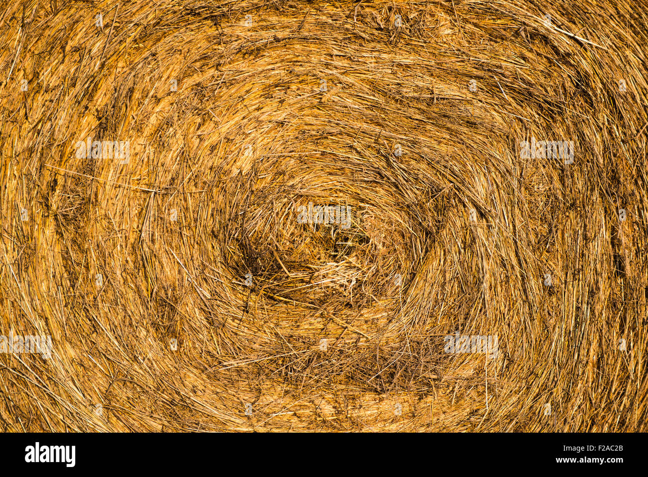 Bale of hay, An image of straw background Stock Photo