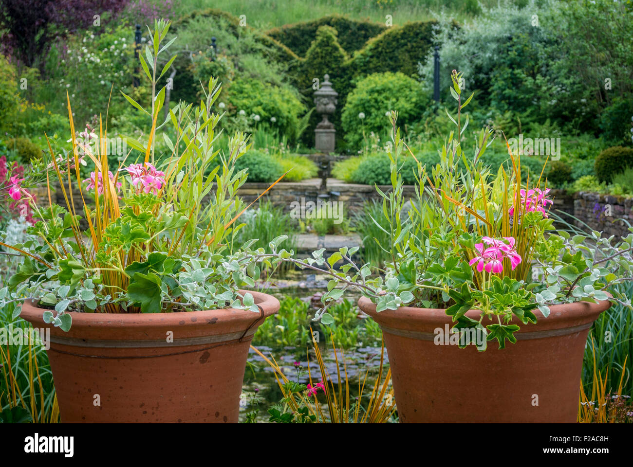 Terracotta plant pots with flowering plants in garden Stock Photo