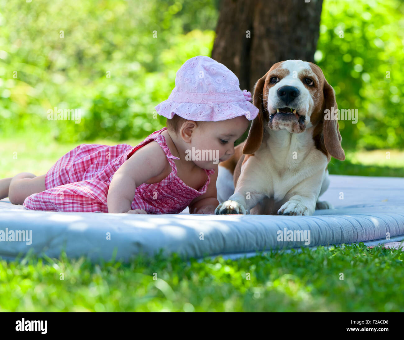 little girl plays with a dog in the garden Stock Photo - Alamy