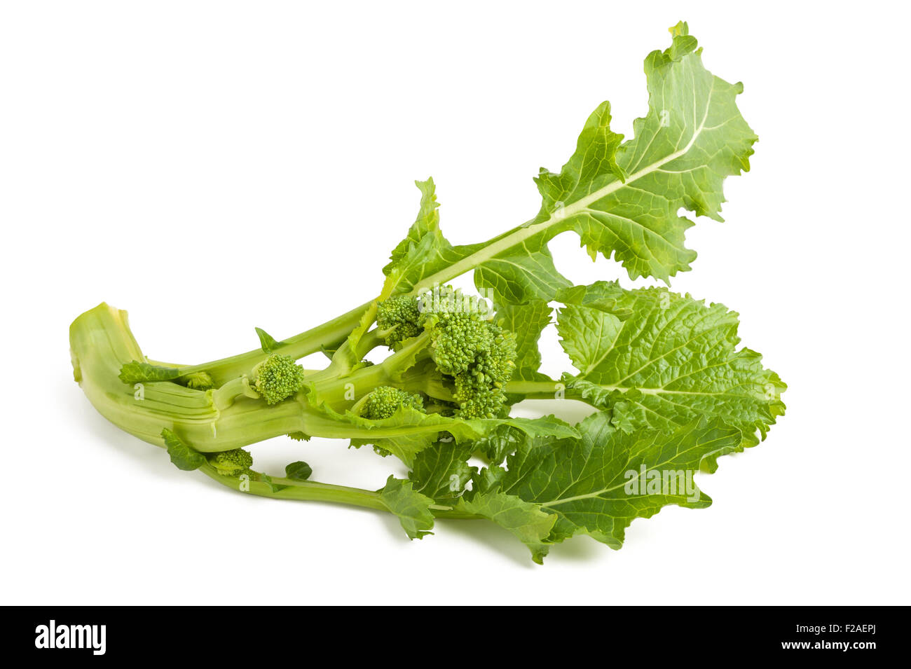 Broccoletti hi-res stock photography and images - Alamy