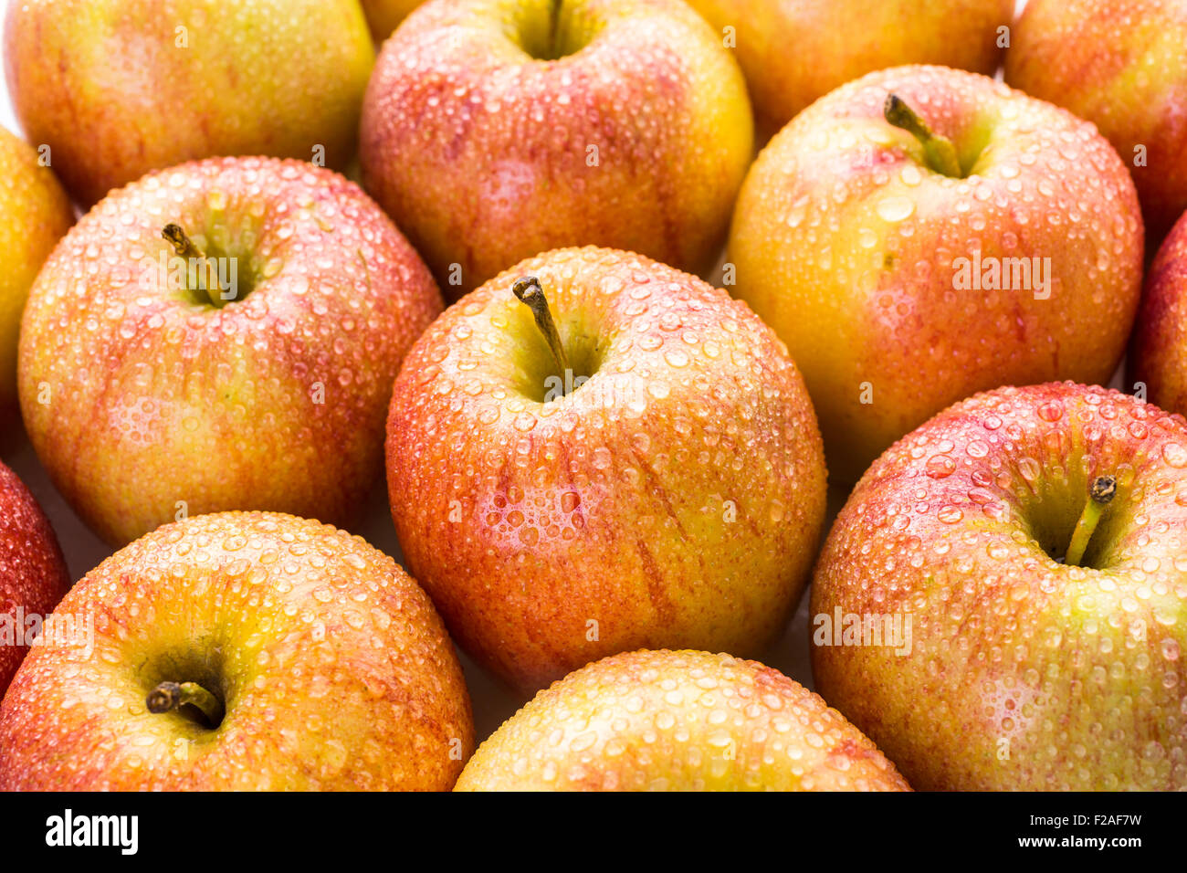 Close up of organic Gala apples Stock Photo Alamy