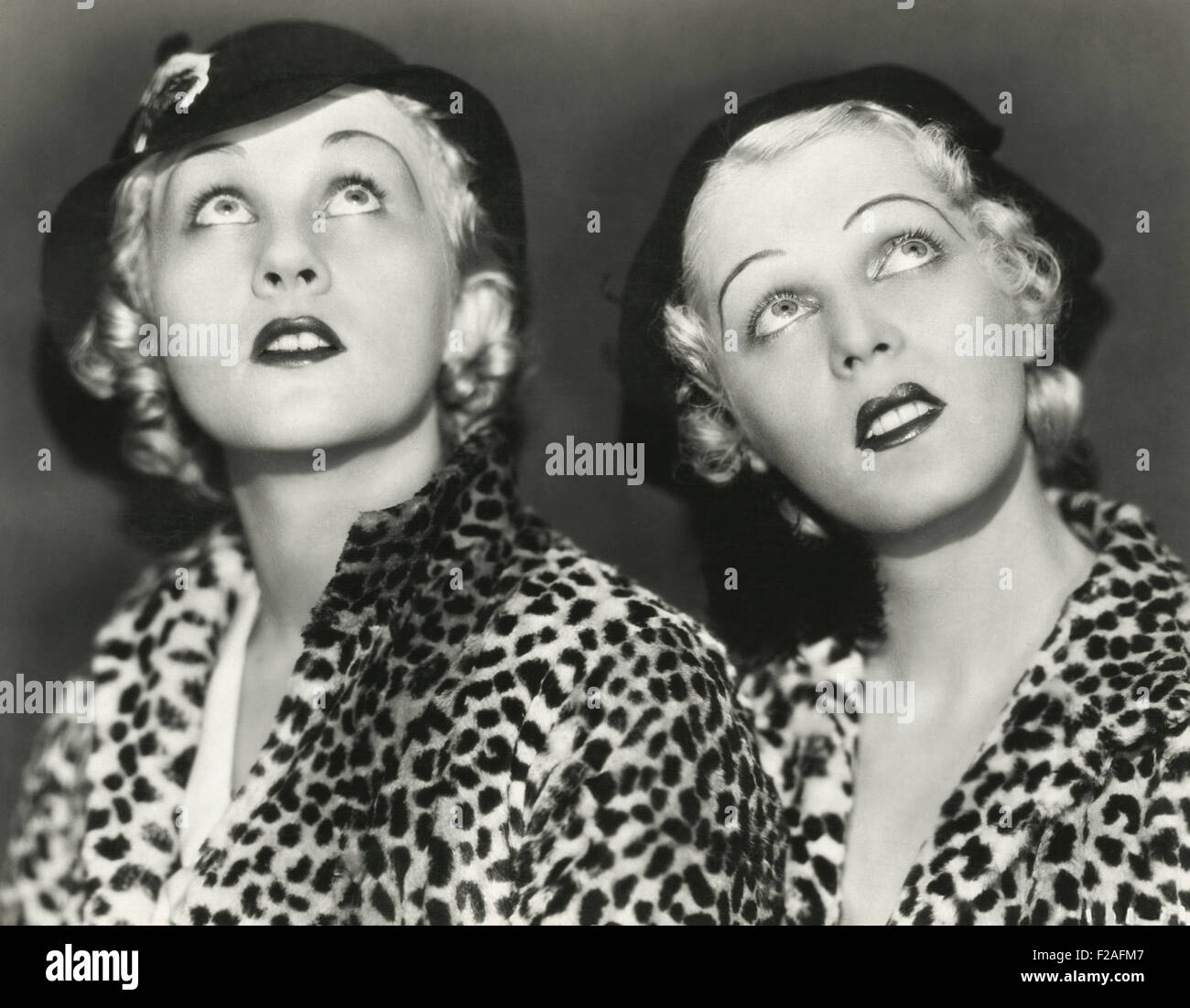 Two blondes in leopard print (OLVI008 OU390 F Stock Photo - Alamy