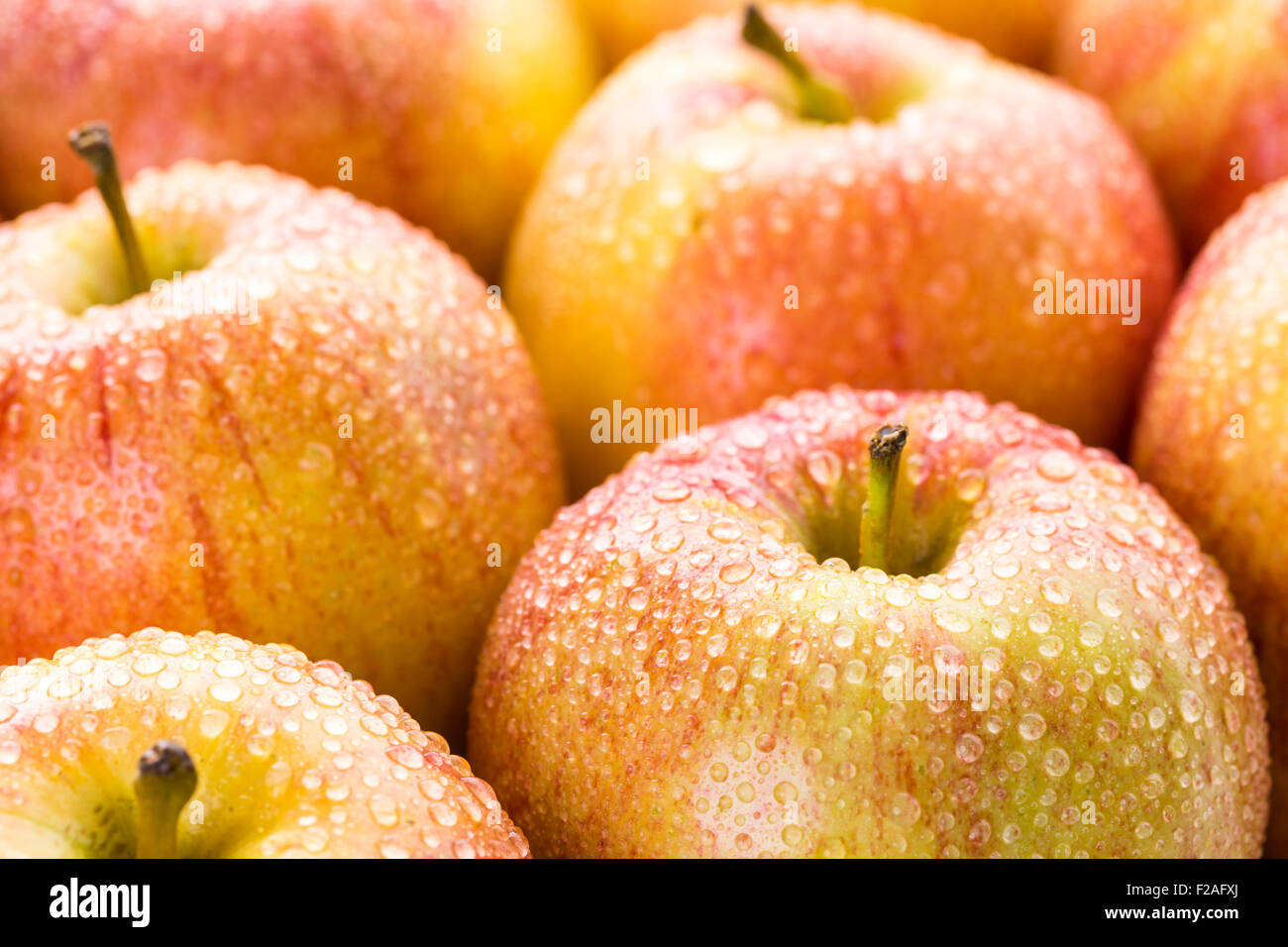 Close up of organic Gala apples Stock Photo Alamy