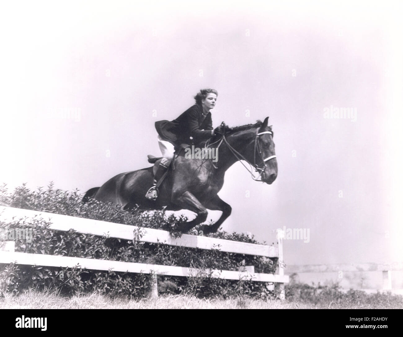 Steeplechase (OLVI007 OU980 F) Stock Photo