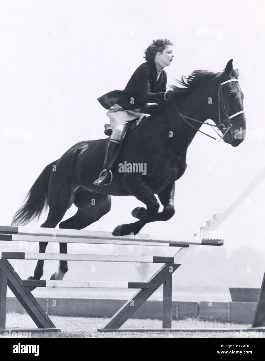 Show jumping  (OLVI007 OU979 F) Stock Photo