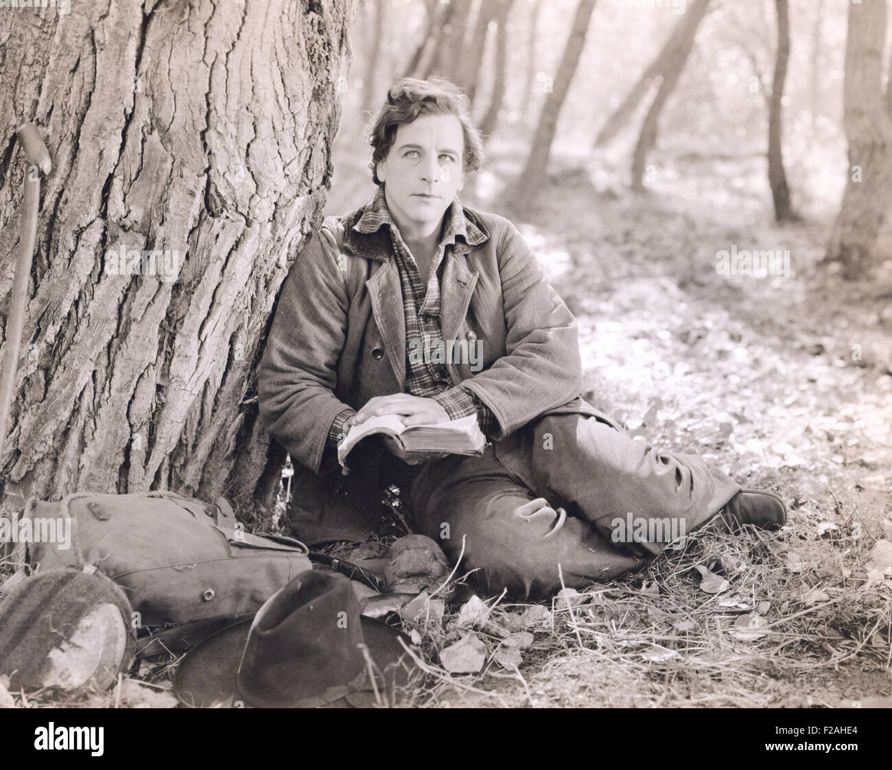 Man reading in the woods (OLVI007 OU976 F) Stock Photo