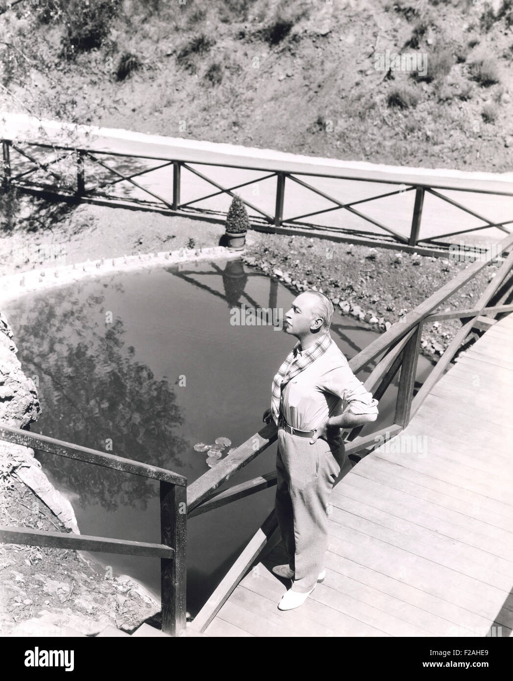 High angle view of man standing on bridge overlooking pond (OLVI007 OU974 F) Stock Photo