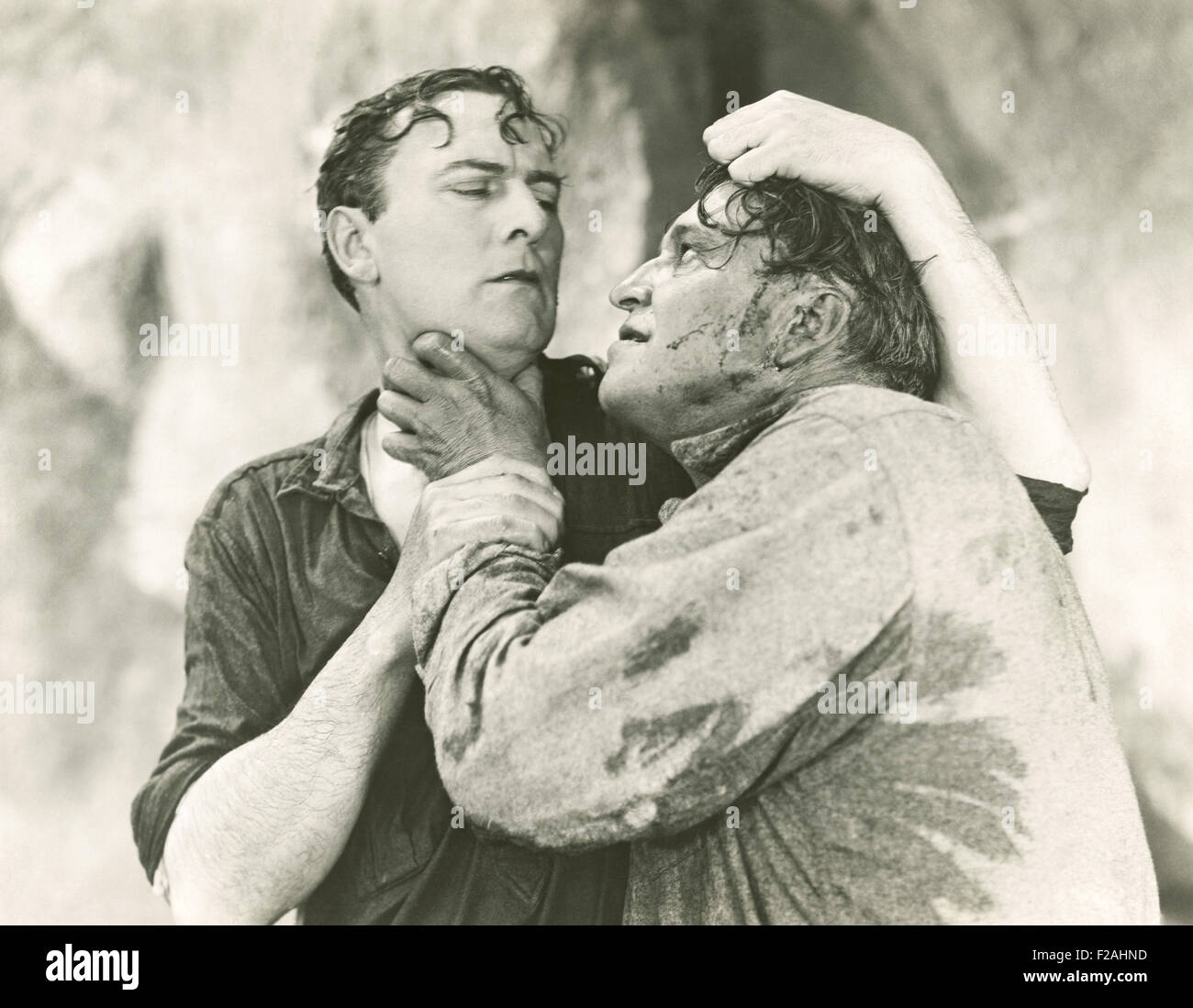 On the attack (OLVI007 OU910 F) Stock Photo