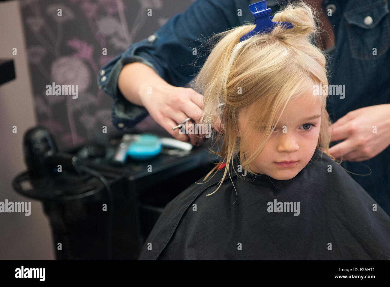 Female hairdresser cutting and brushing young child blond girl hair in hairdressing salon Stock Photo