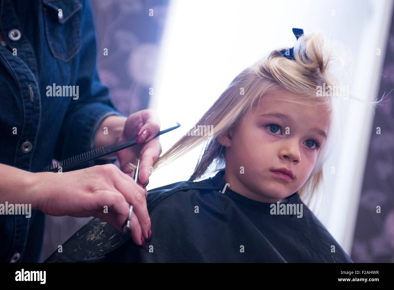 Female hairdresser cutting and brushing young child blond girl hair in hairdressing salon Stock Photo