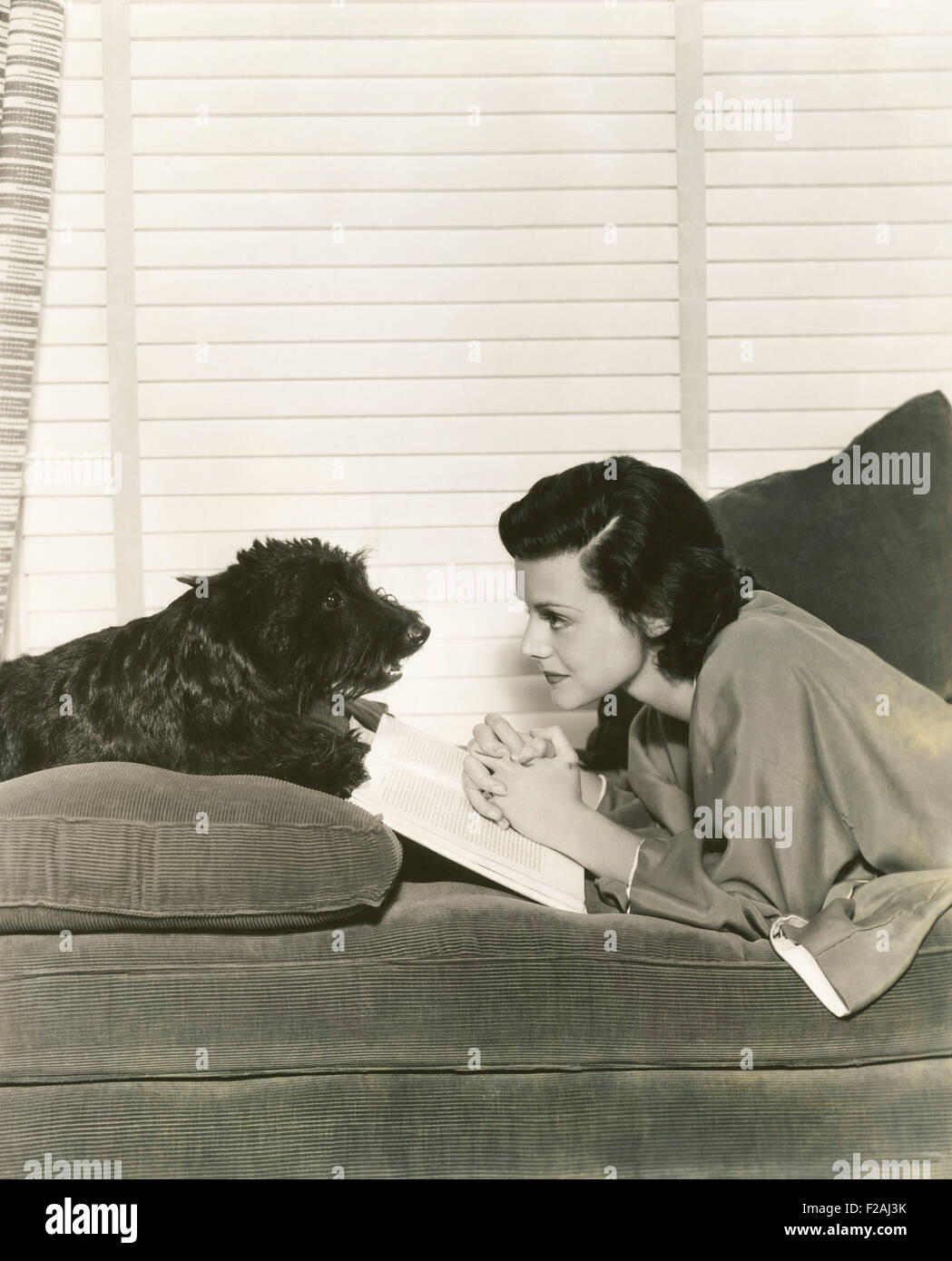 Reading with a loyal friend  (OLVI007 OU861 F) Stock Photo