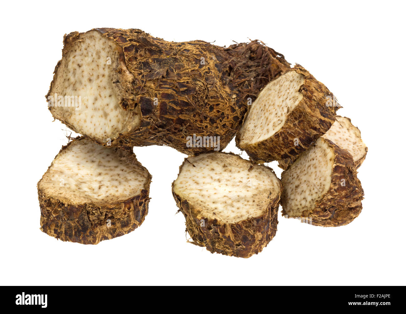A fresh Malanga with several pieces sliced off isolated on a white background. Stock Photo