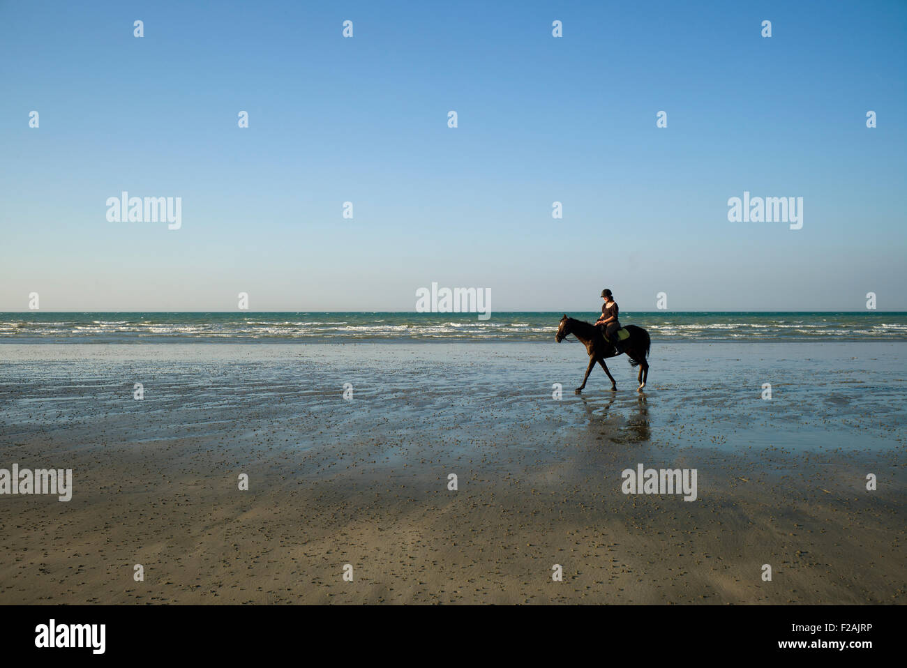 Horse And Rider On The Beach St Aubin Sur Mer Normandy