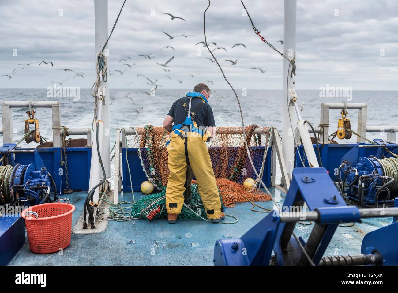 Fisherman inspecting trawl net on research ship Stock Photo