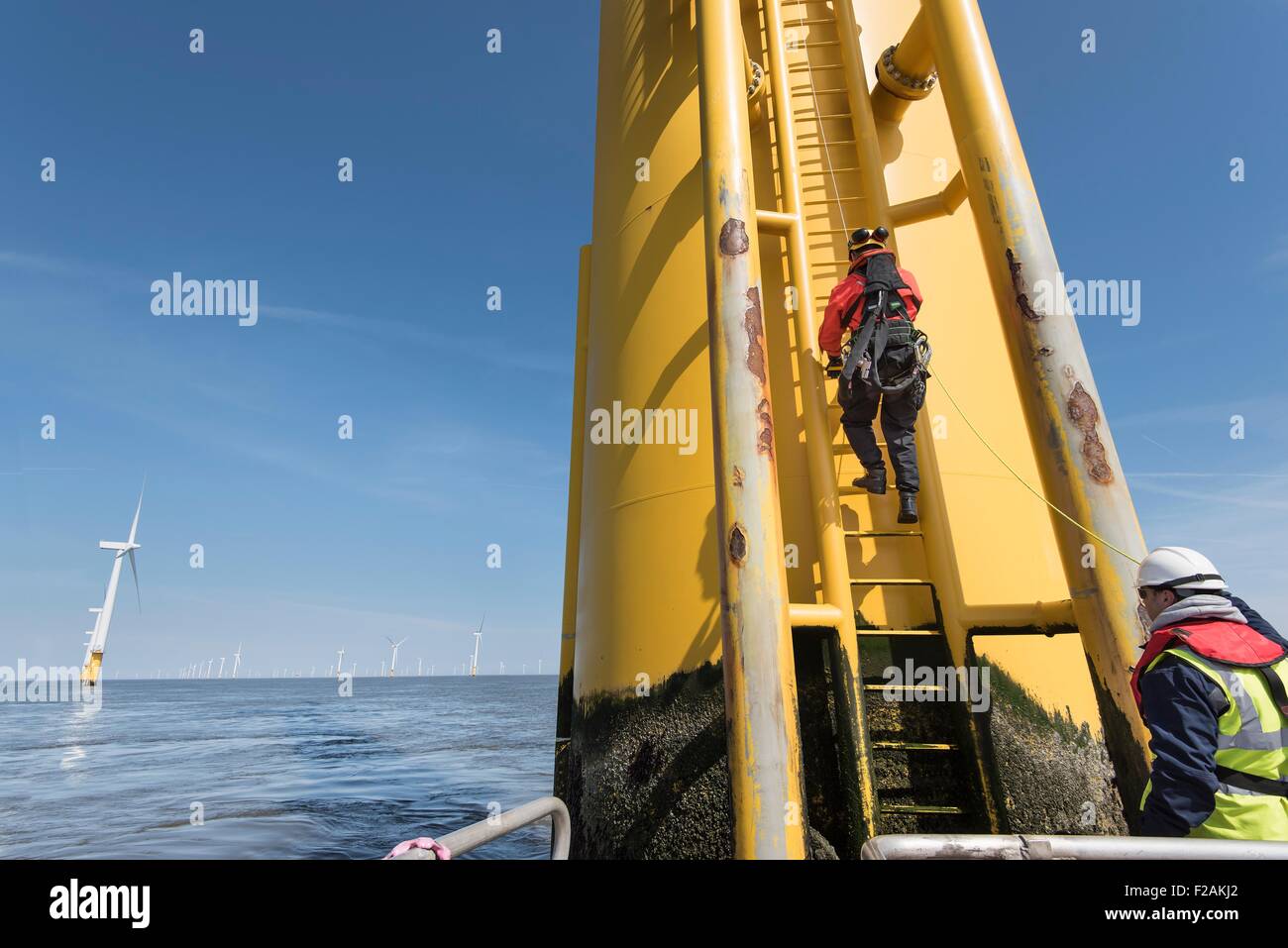 Engineers climbing wind turbine ladder from boat at offshore windfarm Stock Photo