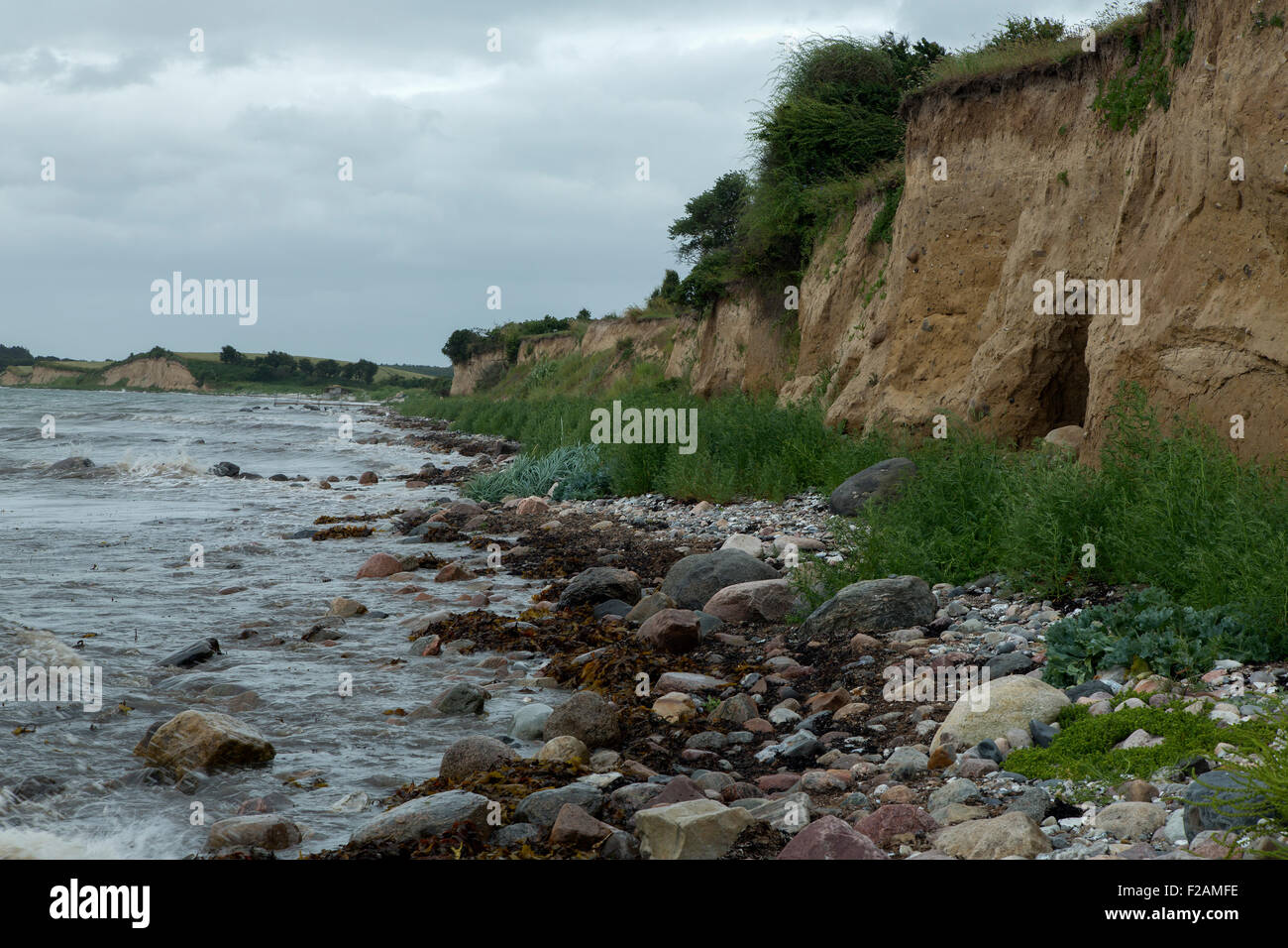 Cliff of boulder clay and beach, Fyns Hoved, Funen, Denmark Stock Photo